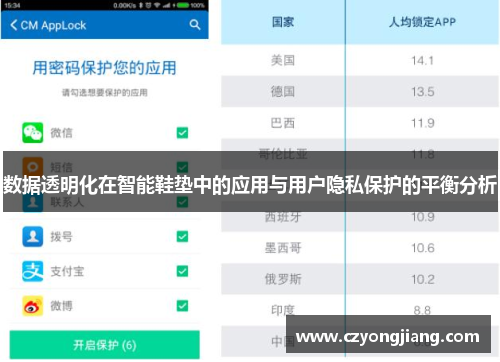 数据透明化在智能鞋垫中的应用与用户隐私保护的平衡分析